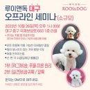 루이앤독 이미지