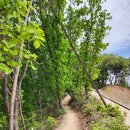 애막골 등산로 입구 이미지