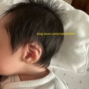 내돈내산 레피리움 은평 후기 / 산후조리원생활