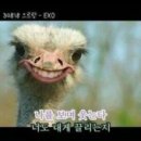 원은영뷰티#