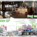 마루애견 이미지