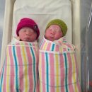 Dr. 클리닉 | 👶🏻 호주 프라이빗 병원 쌍둥이 출산 후기 | Frances Perry House &amp; Dr. Soh 경험 공유