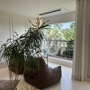 (주)오션컴 | 제주 서귀포 외국 감성 1박 10만원 대 가성비 숙소 추천 ‘아누캄파’ (2.1.1. 숙박 후기)