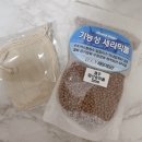 제주이엔티