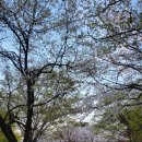 선희목장 | 이렇게 여유로운 4월은 오랜만