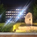 세계의 술과 글로벌 음주문화 이미지