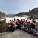 용인대 성민 태권도 이미지