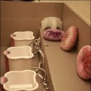 동감한의원 이미지