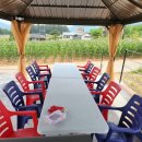 청풍모들펜션 | 단체펜션은 청풍모들펜션 으로 가보세요