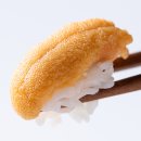 속초 현지인 맛집 설악항 회센터 예약 및 자연산 횟집 오마카세 몇호는 비밀 여행 추천 후기