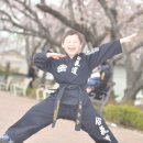 선진합기도 이미지