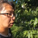 연하농장 이미지