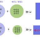 효소상식 이미지