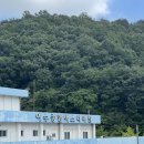 대음레코드 이미지