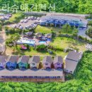 파트라슈 | 경기도 애견펜션 또 간 후기 파트라슈애견펜션 / 분위기좋고 가격적당한 곳