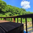 배내배내 이미지