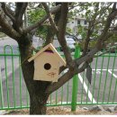 칠서초등학교 이미지