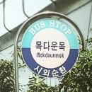 먼나머루 이미지