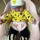 필텍스타일 이미지