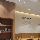 도리마리 부산시청점 이미지