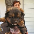 당북초등학교 이미지