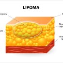 새봄외과의원 이미지