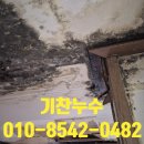 예산누수탐지 업체 천장누수 생겼을 때 피해보상 받을 수 있을까?
