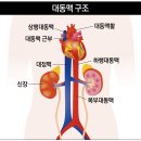고려대학교 안암병원 이미지
