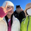 시조카센타 이미지