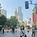 로뎀나무퓨전찻집 | 상하이 Day2(무릎 살리도)