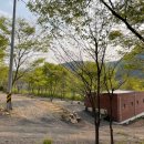 대명오토 | 강원도 오토캠핑 비발디캠핑파크 노일점 — 개별 샤워실·반려견 동반 가능한 홍천 캠핑장