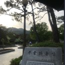 무궁화여관 이미지
