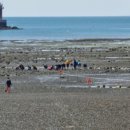 갯벌생태 체험장 이미지