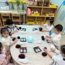 신흥병설유치원 이미지