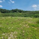 강동초 왕신분교 이미지