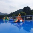 더 초리골 네이버블로그