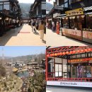 다정교 BRT정류장3 | 서울 근교 벚꽃 명소 동두천 니지모리 스튜디오 방문기| 일본 감성 제대로 느껴본 후기