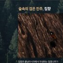 정관장흑석점