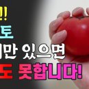 모기 토마토 한개만 있으면/천연 모기 퇴치법/ 이미지