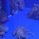 진미실비 이미지