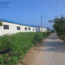 천안시병천면매성보건진료소 이미지