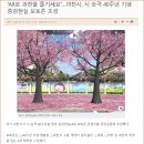 [6-4] (숏폼) 과천시 승격 40주년 AR 포토존 콘텐츠 소개 이미지