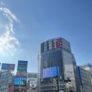 🌌 포스가 함께하기를! 시부야 츠타야 스타워즈 콜라보 팝업 후기