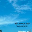 머드포레스트