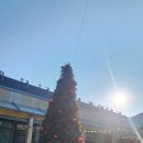 (주)로사코리아 | 부산에서 날씨 상관없이 여러 볼거리를 즐길 수 있는 공간, F1963 (주차정보 포함)