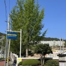 목포항도여자중학교 | 2025 상반기 전라남도 통합 채용(녹색에너지연구원) 필기 NCS 후기