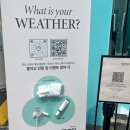 성수 엑시스와이 팝업스토어 후기｜대기 시간, 굿즈, 분위기 총정리