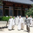 종삼의원 Daum카페