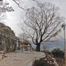 봄을찾아서-양산 동산,북부산성,여락리 이미지