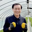 지지유통